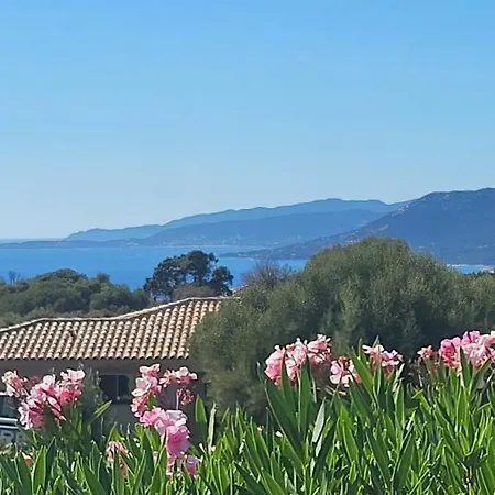 T3 Propriano Vue Mer, Neuf, Climatise Et Classe 4 Etoiles Apartament Viggianello