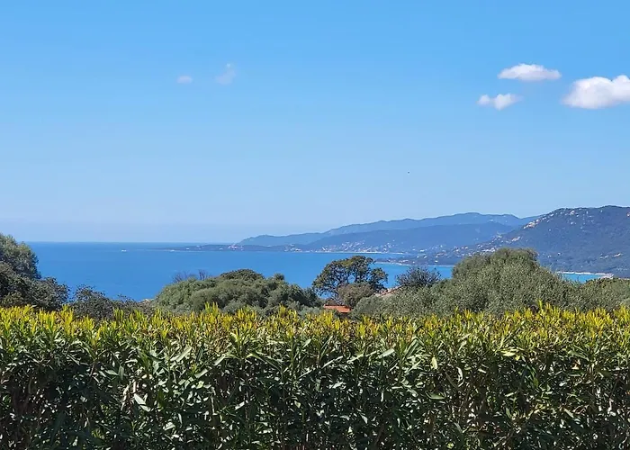 T3 Propriano Vue Mer, Neuf, Climatise Et Classe 4 Etoiles Viggianello