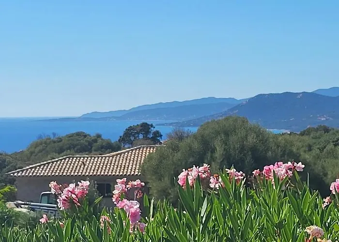 T3 Propriano Vue Mer, Neuf, Climatise Et Classe 4 Etoiles Apartamento Viggianello